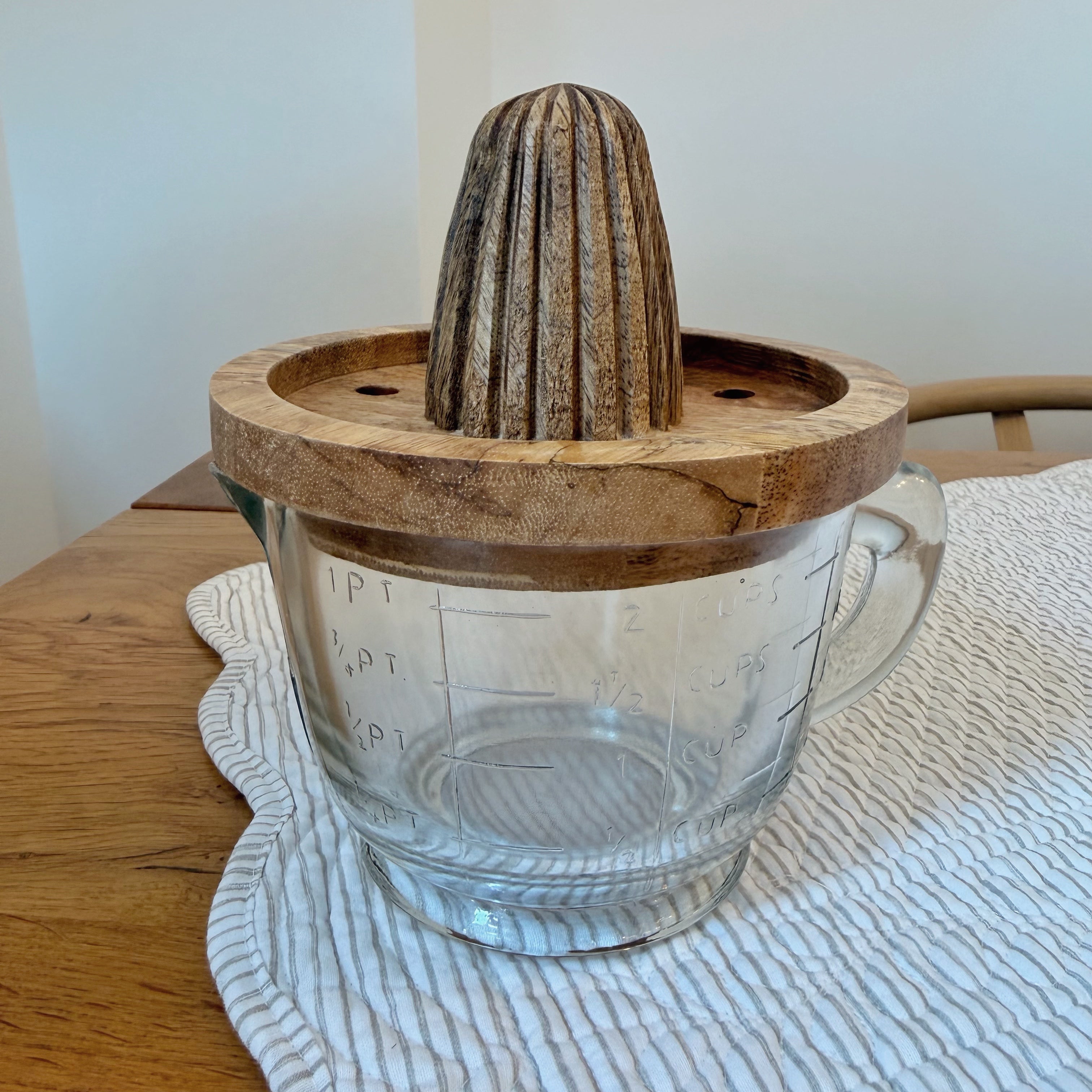 Citrus Juicer