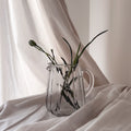 Ribbed Glass Jug